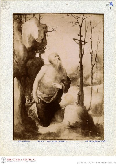 Beccafumi - Girolamo penitente, inventario n. 166 da Domenico Beccafumi