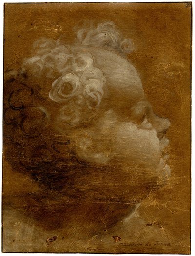 Beccafumi - Testa di bambino che guarda in alto, di profilo a destra Disegno a pennello a olio grigio-bruno e bianco, su carta preparata marrone, con linee dentellate, 1528 (circa) da Domenico Beccafumi