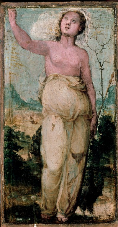 Figura femminile da Domenico Beccafumi