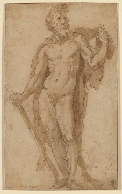 Ercole, in piedi con una clava da Domenico Beccafumi