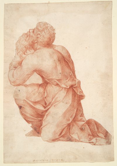 Uomo in ginocchio da Domenico Beccafumi
