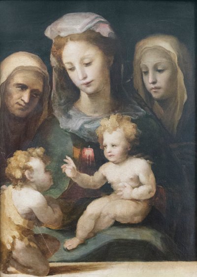 Madonna e Bambino con i Santi Giovanni, Elisabetta e Caterina da Siena 1540-50 da Domenico Beccafumi