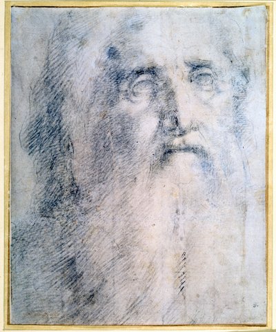 Studio della testa di un vecchio con barba da Domenico Beccafumi