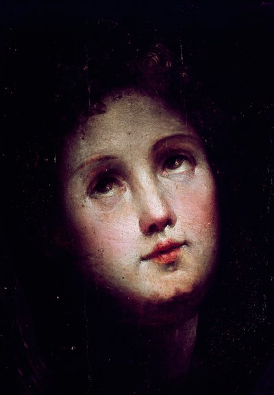 La discesa di Cristo al limbo. (dettaglio) da Domenico Beccafumi