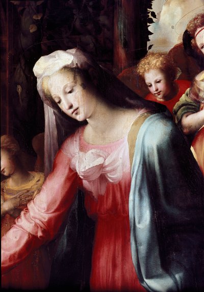 La natività (dettaglio della Vergine) da Domenico Beccafumi