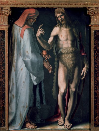 Trittico della Trinità, dettaglio pannello sinistro: San Cosimo e San Giovanni Battista da Domenico Beccafumi