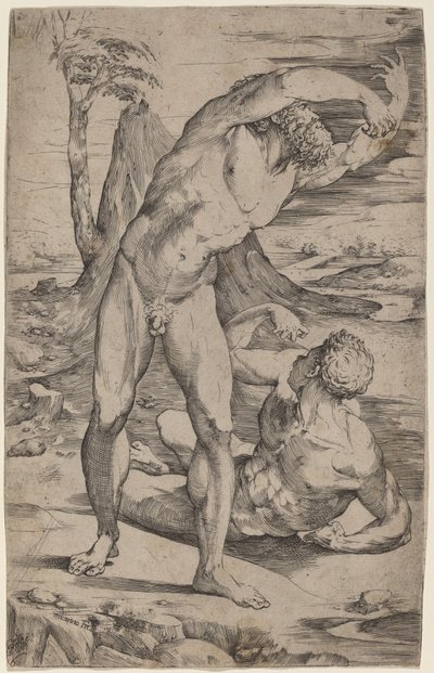 Due nudi maschili che gesticolano in un paesaggio da Domenico Beccafumi