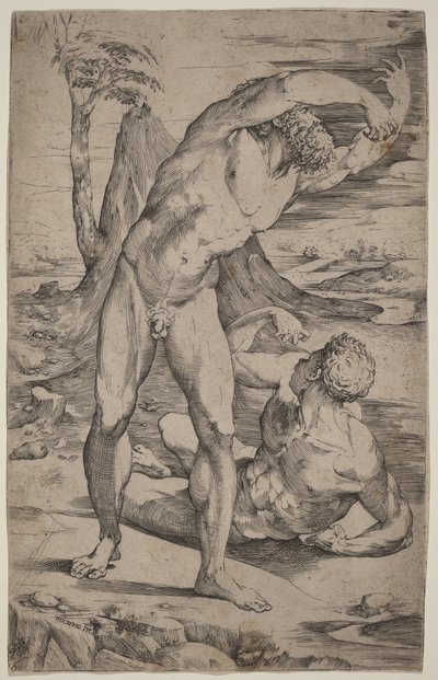 Due nudi maschili che gesticolano in un paesaggio da Domenico Beccafumi