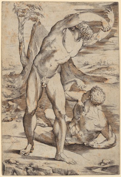  da Domenico Beccafumi