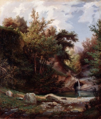Paesaggio di natura, sottobosco e ruscello con cascata da Domenico Cambiaso