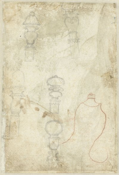 Schizzi di boccioli da Domenico Campagnola (possibly)