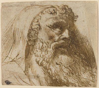 Testa di un uomo da Domenico Campagnola