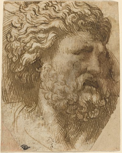 Testa di un Uomo da Domenico Campagnola