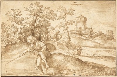 Paesaggio con ragazzo che pesca da Domenico Campagnola