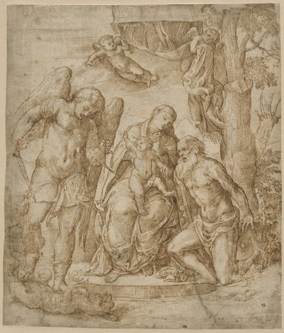 La Vergine e il Bambino con i santi Michele e Girolamo, c.1520-25 da Domenico Campagnola