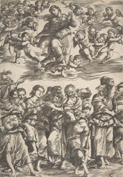 La Vergine al centro in alto tra le nuvole con le mani giunte e il piede destro sollevato, circondata da... da Domenico Campagnola