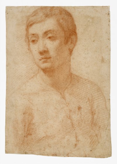 Testa di un Giovane, c.1600-25 da Domenico Cresti
