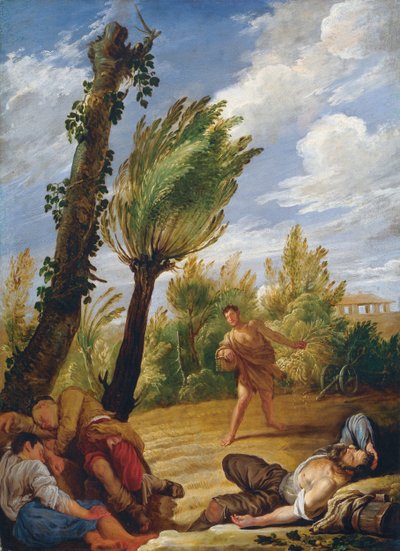La parabola del grano e della zizzania, 1620 da Domenico Fetti