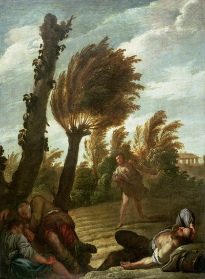 Parabola del seminatore di zizzania, c.1620-21 da Domenico Fetti or Feti