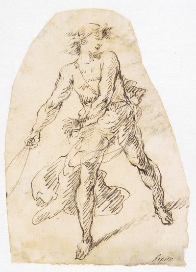 Danese: David con la fionda da Domenico Gargiulo