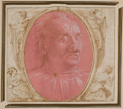 Testa di un vecchio da Domenico Ghirlandaio