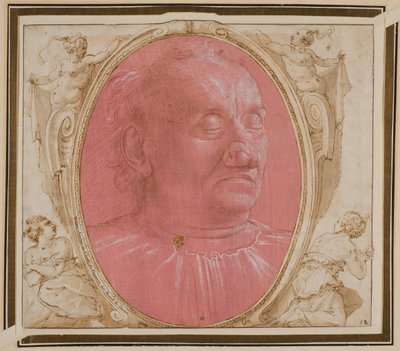 Testa di un vecchio da Domenico Ghirlandaio
