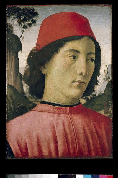 Ritratto di un giovane uomo, XV secolo da Domenico Ghirlandaio