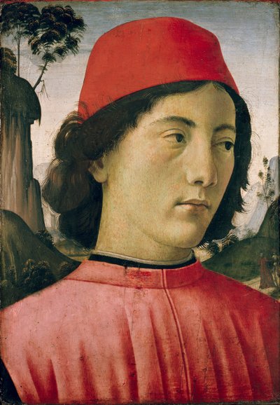 Ritratto di un giovane uomo da Domenico Ghirlandaio