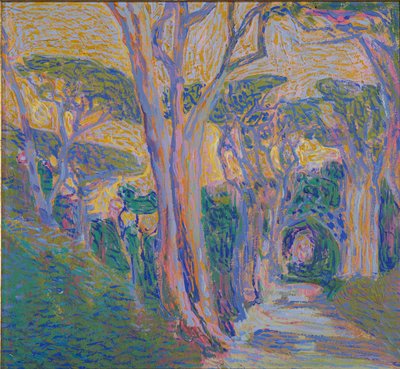 Foresta di pini a Portofino da Domenico Guerello