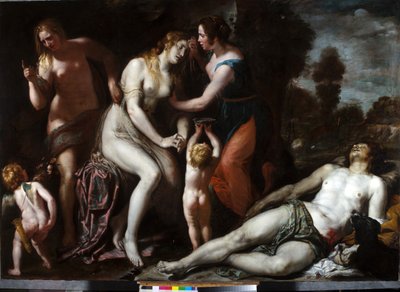 Morte di Adone da Domenico Il Sarzana Fiasella