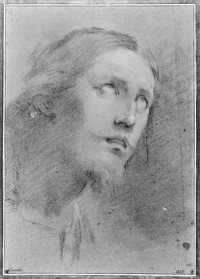  da Domenico Maria Canuti