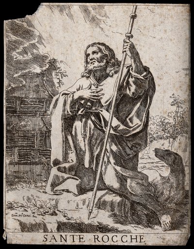  da Domenico Maria Canuti
