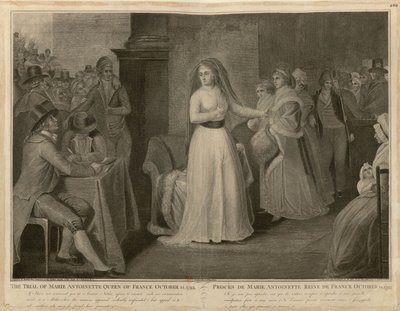 Il processo di Maria Antonietta, regina di Francia, 14 ottobre 1793 da Domenico Pellegrini