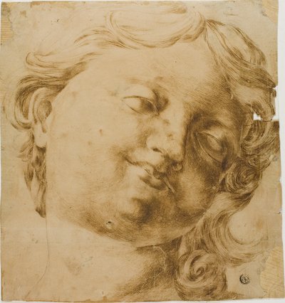 La testa di un bambino da Domenico Peruzzini