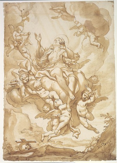 Ascensione di Santa Maria Maddalena da Domenico Piola