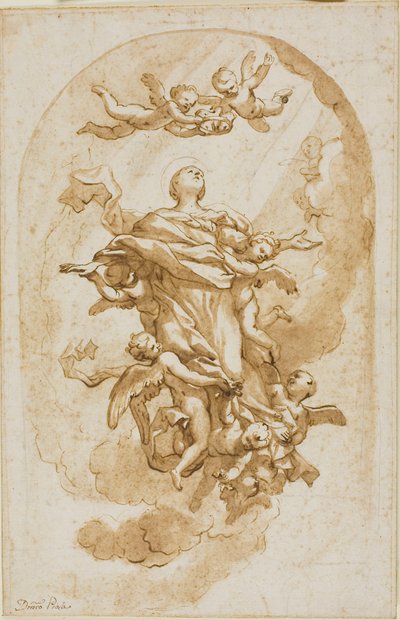 Assunzione della Vergine da Domenico Piola