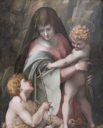 Madonna con Bambino e il giovane San Giovanni da Domenico Puligo