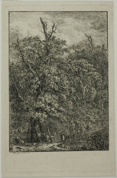 Grande albero da Domenico Quaglio