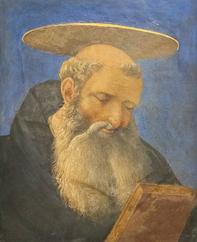 Testa di un santo tonsurato e barbuto, c.1440-44 da Domenico Veneziano
