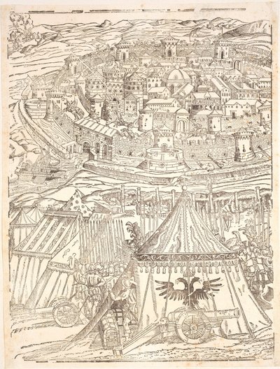 Conquista di Goleta a Tunisi da parte di Carlo V da Domenico dei Franceschi