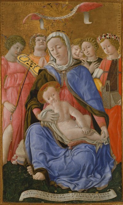 Madonna dell