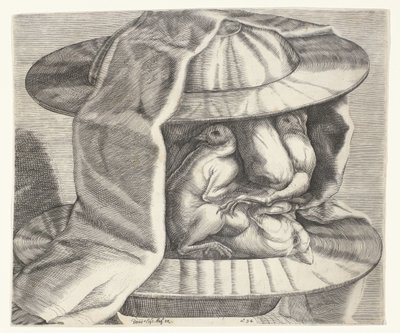 Una testa grottesca con elmo nello stile di Arcimboldo da Dominicus Custos