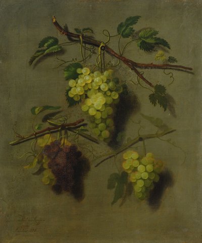 Natura Morta, 1738 da Dominicus Van der Smissen