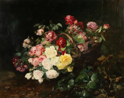 Rose da Dominique Herbert Rozier