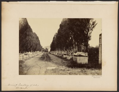 [Antico cimitero di Arles, "Alyscamps"]. da Dominique Roman
