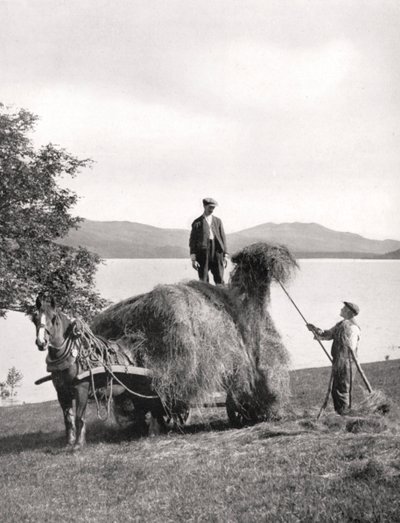 Caricamento del fieno su un carro sulle rive del Loch Lomond, Scozia, 1924-1926 da Donald McLeish