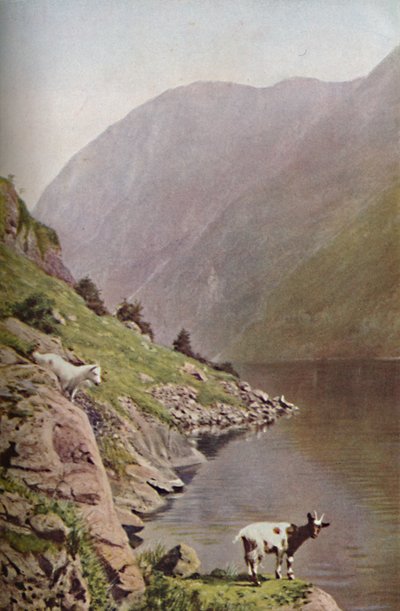 Norvegia, c1930s da Donald McLeish