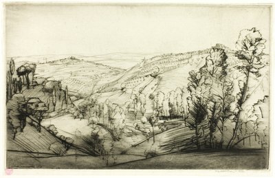 Campi di San Gimignano da Donald Shaw MacLaughlan