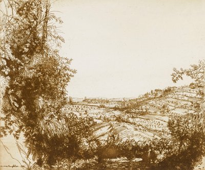 Oliveti da Donald Shaw MacLaughlan