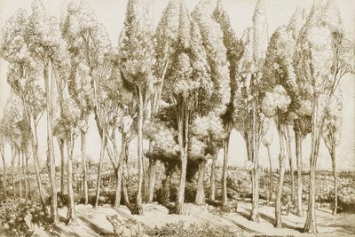 Road Song no. 5 da Donald Shaw MacLaughlan